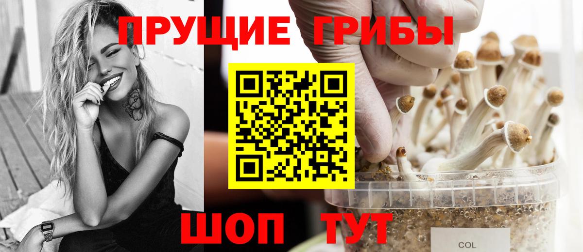 продажа наркотиков  Вход с VPN  Муравленко  Псилоцибиновые грибы мухоморы  Псилоцибиновые грибы Psilocybe 