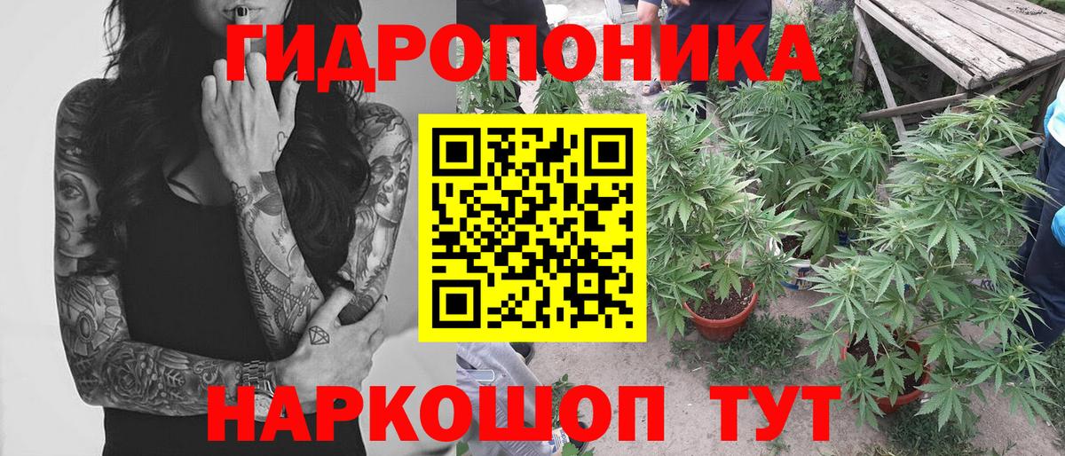 Шишки марихуана Amnesia  Вход с VPN  Канабис OG Kush  Муравленко 